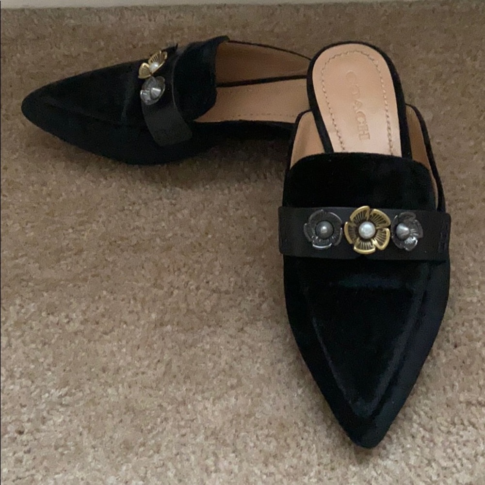 Coach Nova loafer slide